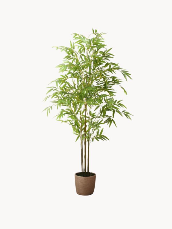 Dirbtinis augalas Bamboo