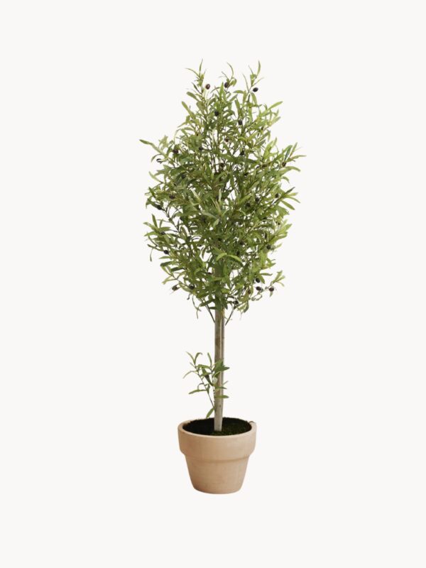 Dirbtinis augalas Olive